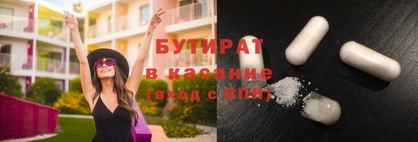 сатива Аркадак