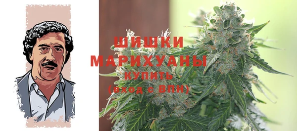 прущие грибы Тихорецк